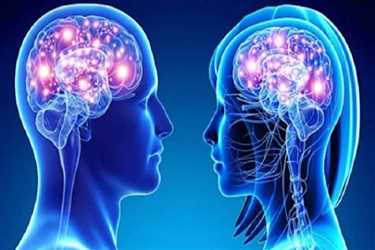 تفاوت مغز در زنان و مردان